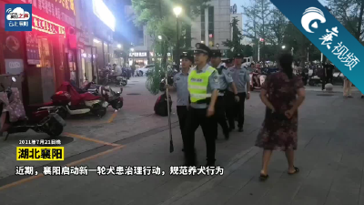 【襄视频】开始整治！不文明养犬将被处罚！