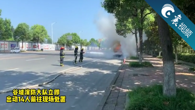 【襄视频】高速路口，一轿车突发自燃……