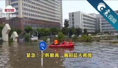 【襄视频】河南卫辉告急，襄阳蓝天救援队紧急支援病人转移