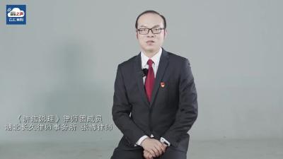 视频丨《讲法说理》律师团成员 张博
