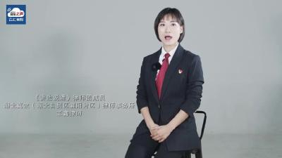 视频丨《讲法说理》律师团成员 王鑫