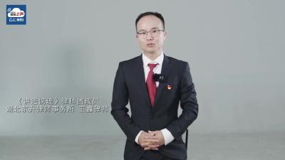 视频丨《讲法说理》律师团成员 王露