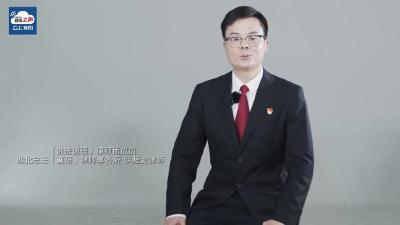 视频丨《讲法说理》律师团成员 洪程龙