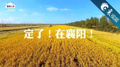 【襄视频】定了！23号！主会场就在襄阳！