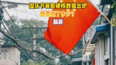 【襄视频】国庆节襄阳硬核数据出炉 你贡献了多少?