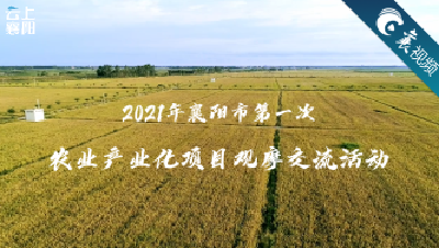 【襄视频】襄阳市2021年农业产业化项目观摩交流活动即将启幕