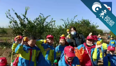 【襄视频】收获秋天的甜蜜