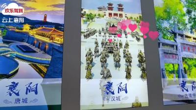 把世界请进海南，让襄阳文旅走向世界！