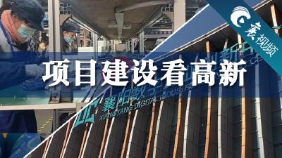 【襄视频】高新——“高新区要又高又新”  坚持“发展高科技、实现产业化”