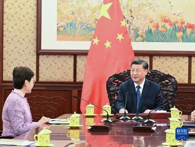 习近平会见来京述职的林郑月娥