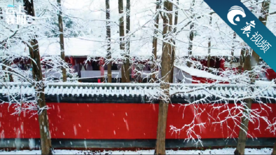 【襄视频】红墙白雪琉璃瓦，雪中襄阳美如画