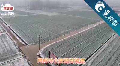 【襄视频】新年新气象 瑞雪兆丰年