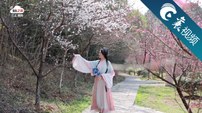 【襄视频】花开了，赏襄阳春日美！