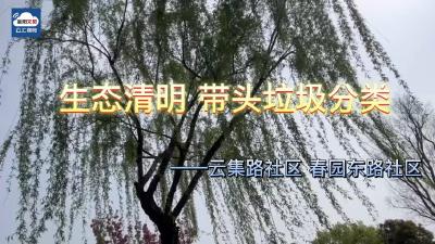 生态清明 带头垃圾分类
