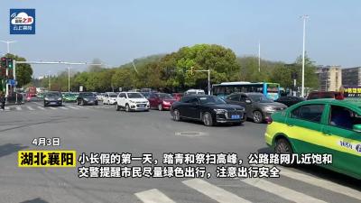 清明扫墓提倡绿色出行
