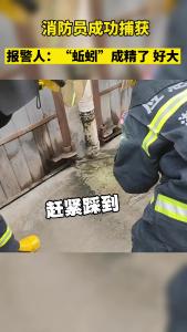 居民报警称家里的蚯蚓成精了