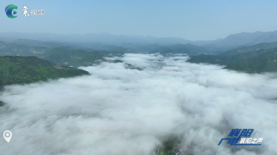 保康县歇马镇百峰村：香炉山上茶飘香  春满大地展画卷