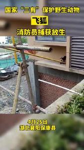 飞狐私闯民宅被消防员智擒