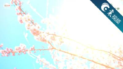 网络中国节•清明|又是一年清明时，古城春色越千年