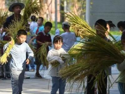 9月起！煮饭、种菜、修家电……中小学生都要学！ 