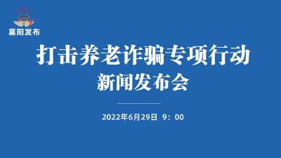 【回放】新闻发布会：打击整治养老诈骗专项行动