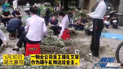 网络中国节•端午｜用心！艾草飘香送“爱”到家！