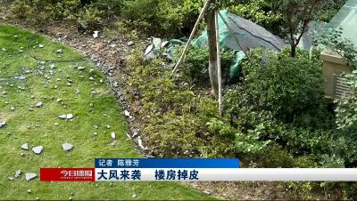 大风来袭      楼房掉皮