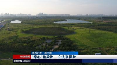 “绿心”鱼梁洲      立法来保护