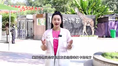 【创文进行时】来逛动物园       “轮椅” 畅通行
