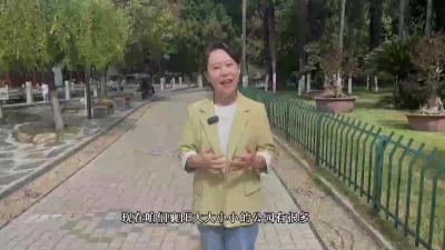 市民献“宝”      公园庆生