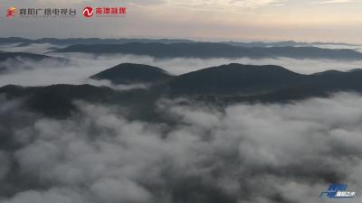 南漳东巩：改革创新  乡村振兴