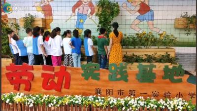 【中秋月圆 师恩难忘】老师，我想对您说……