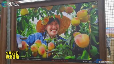 共享丰收的喜悦——枣阳市举办第五个中国农民丰收节庆祝活动（枣阳特色农产品代表）