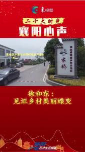 徐和东：见证乡村美丽蝶变