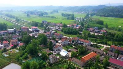 “泉”力以赴 振兴乡村