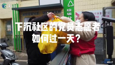 下沉社区的党员志愿者如何度过一天