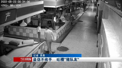 盗窃不收手      吐槽“猪队友”