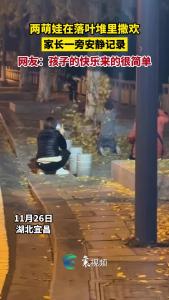 两萌娃在落叶堆里撒欢 家长一旁安静记录