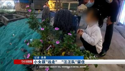 小女孩“远走”      “汪汪队”留住