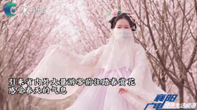 这个樱花园每一帧都可以做壁纸！