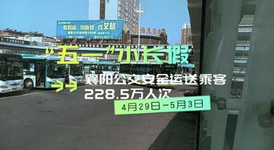 好多人啊！“五一”小长假228.5万人次乘坐公交