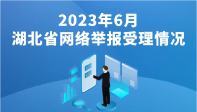 2023年6月湖北省网络举报受理情况
