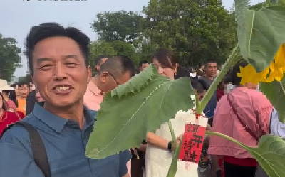 【高考！加油！】襄阳家长为18岁考生种下18棵向日葵，场外送考寓意“一举夺魁”！