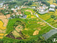 金秋好“丰”景