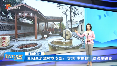 汉江风潮｜枣阳李老湾村党支部：盘活“枣树林” 助农早致富