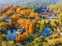 一年好景君须记  最是橙黄橘绿时