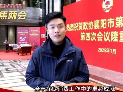 【聚焦襄阳两会】果果探会谈“消费”