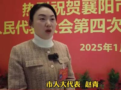 【两会话振兴】：让“中国碗”装更多“襄阳粮” 