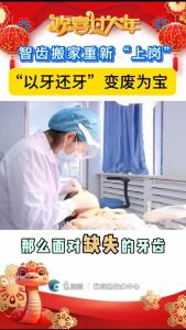 智齿搬家重新“上岗”