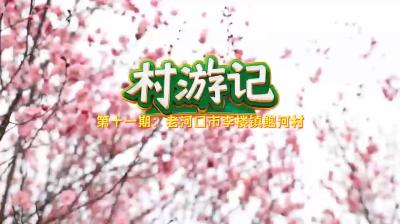 “村”游记｜十里梅花红 鲍河春意浓